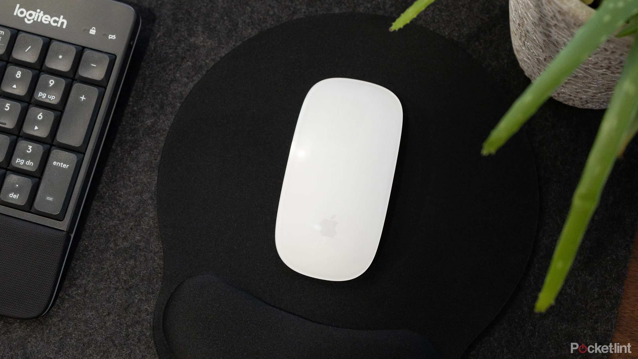 Hình ảnh chuột Apple Magic Mouse