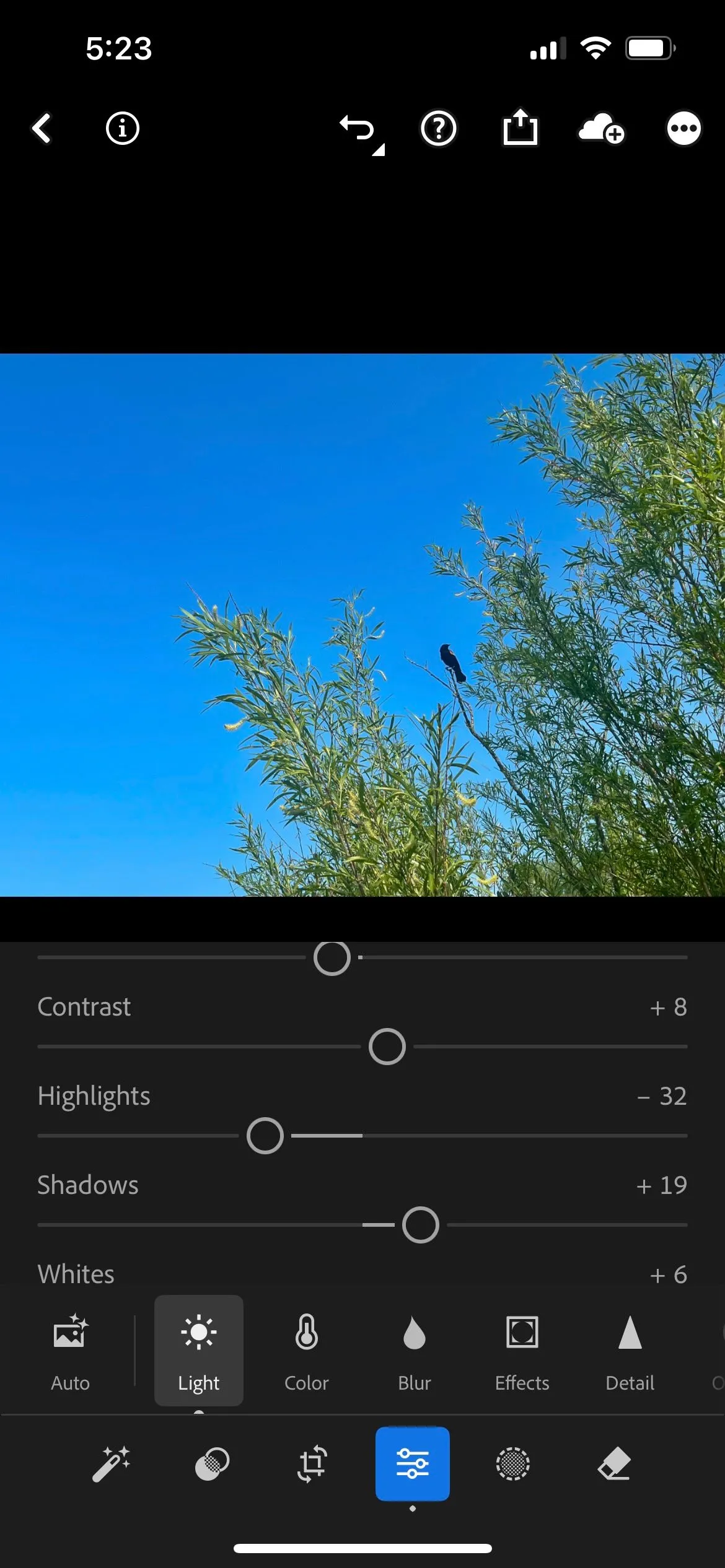 Bảng điều khiển chỉnh sửa phơi sáng cơ bản trong ứng dụng Lightroom, minh họa khả năng điều chỉnh chi tiết cho ảnh chụp wildlife