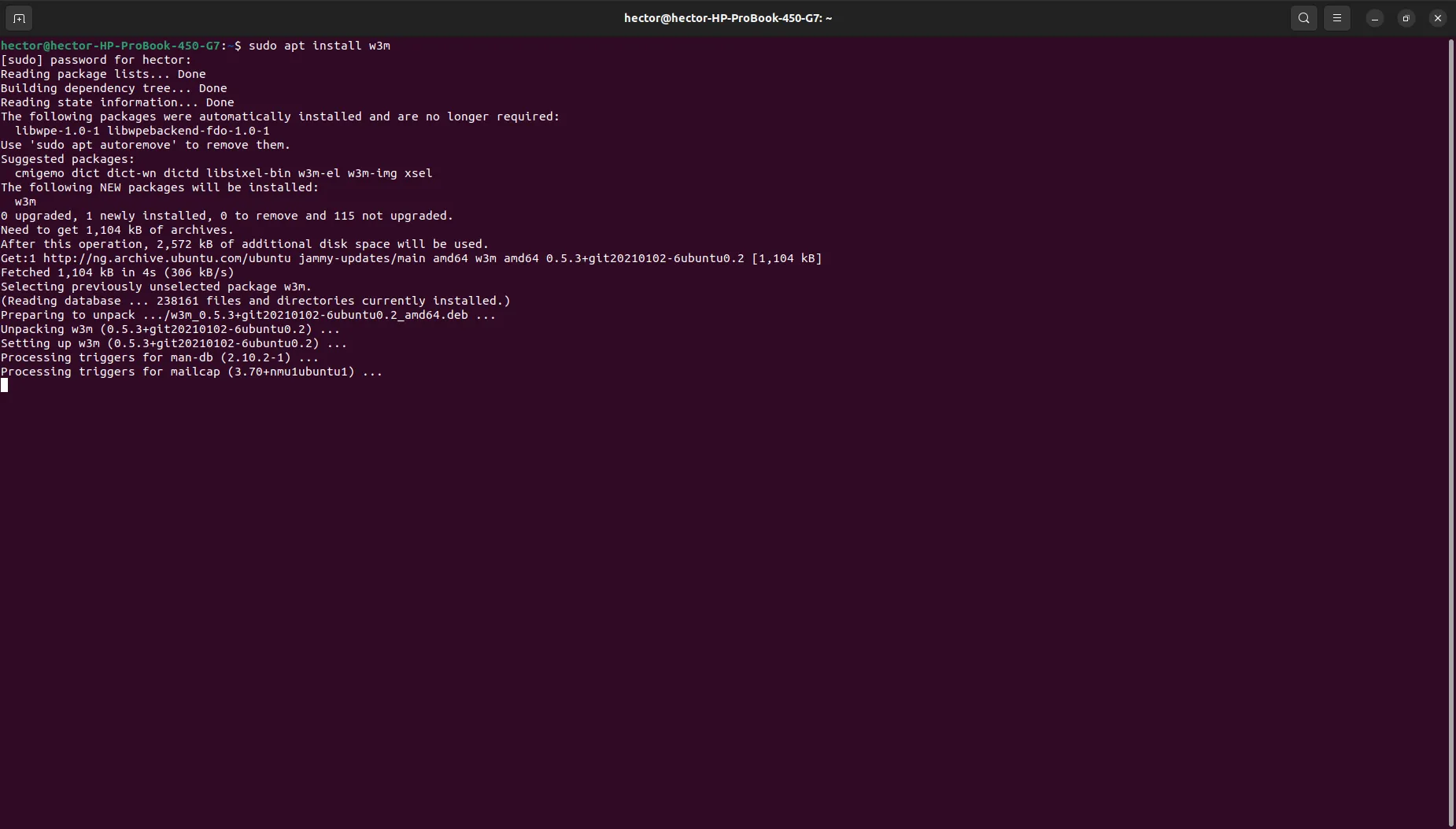 Cài đặt w3m trên Ubuntu bằng lệnh apt