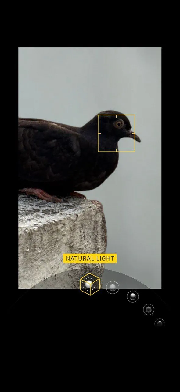 Image default