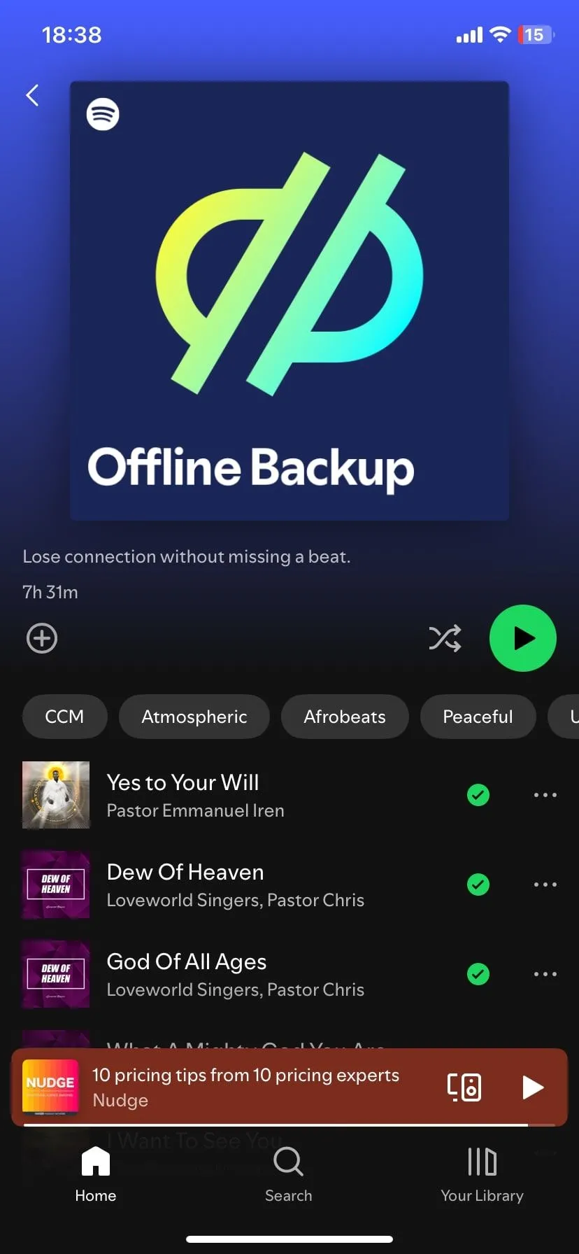 Danh sách nhạc đã tải về để nghe ngoại tuyến trên Spotify, lý tưởng cho những chuyến đi dài hoặc khi không có kết nối internet ổn định.