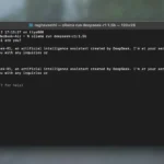 DeepSeek-R1 đang hoạt động bên trong cửa sổ Terminal, hiển thị các lệnh và phản hồi AI trên máy tính cá nhân.