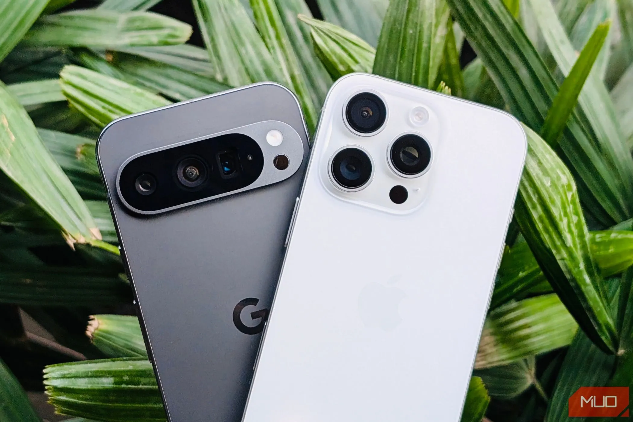 Điện thoại Pixel 9 Pro và iPhone 16 Pro đặt cạnh nhau trước chậu cây cảnh