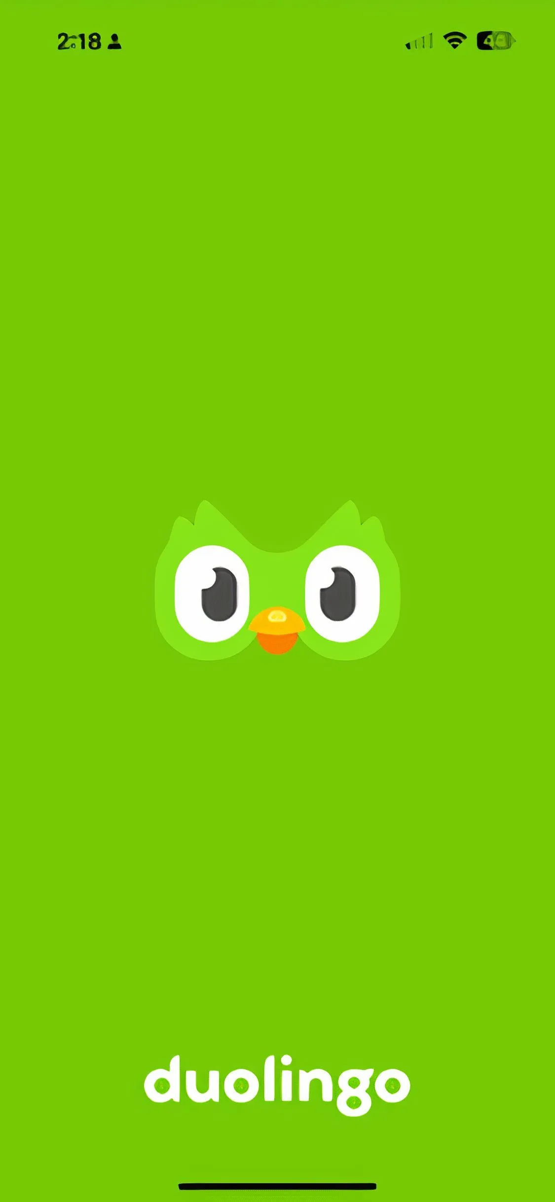 Màn hình khởi động ứng dụng Duolingo với logo đặc trưng
