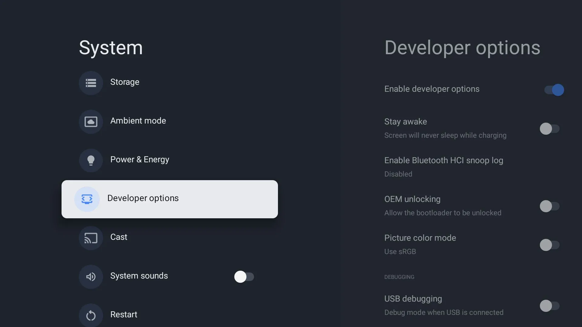 Menu Tùy chọn nhà phát triển trên Google TV sau khi kích hoạt
