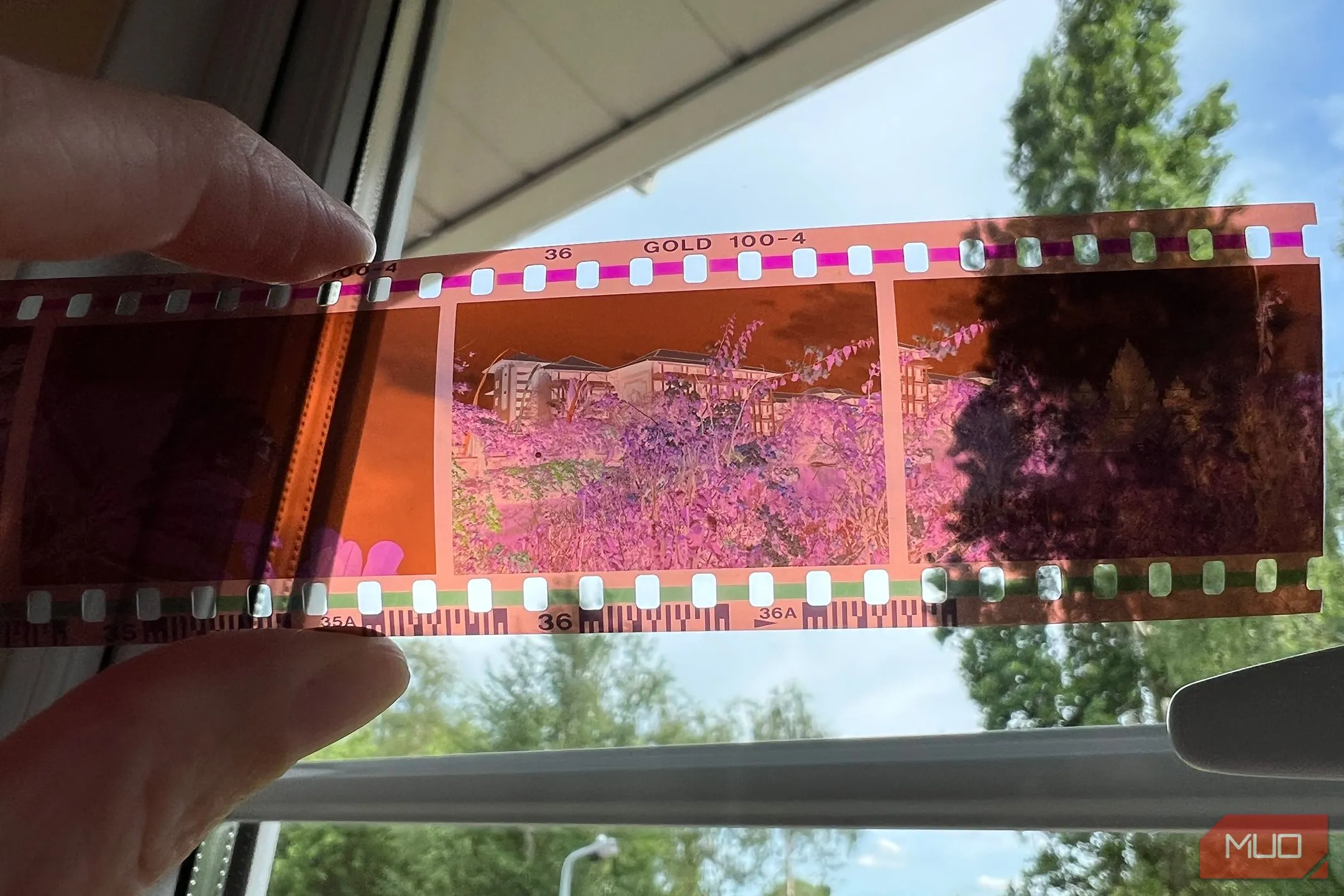 Một dải âm bản film cũ, minh họa vật liệu cần được số hóa thành ảnh dương bản bằng điện thoại.