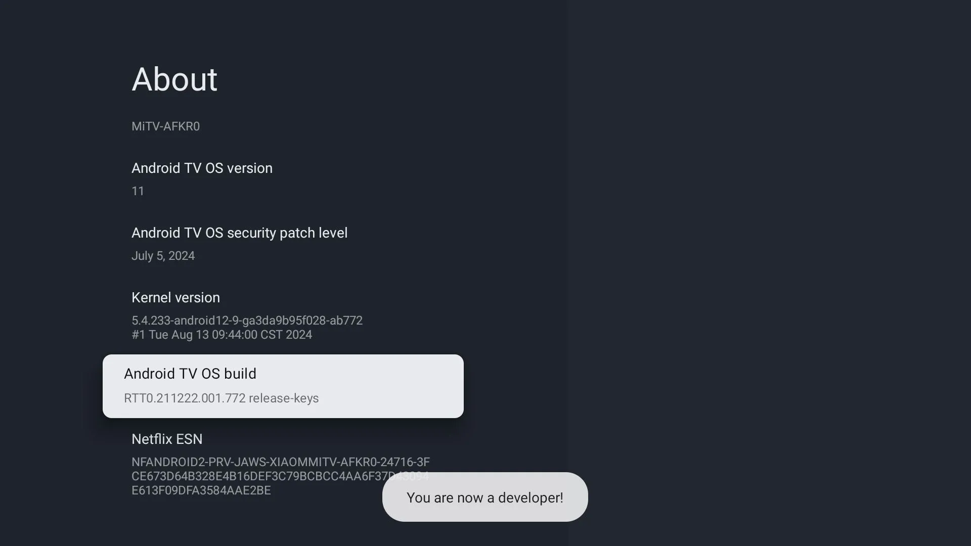 Trang Giới thiệu trong cài đặt Google TV với thông tin về phiên bản Android TV OS Build Number